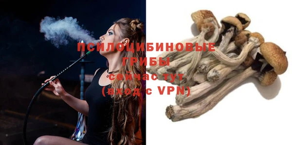 бошки Иннополис