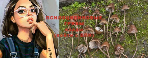 Альфа ПВП Инсар