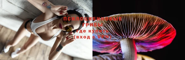Альфа ПВП Инсар