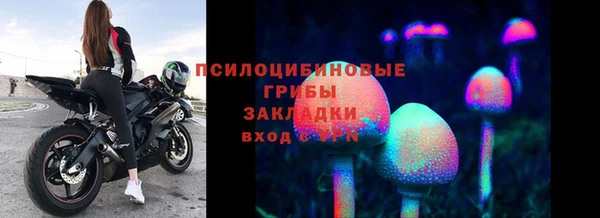 Альфа ПВП Инсар