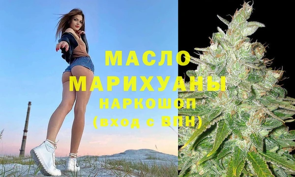 Альфа ПВП Инсар