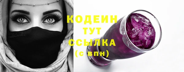 Альфа ПВП Инсар