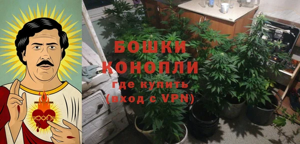 ECSTASY Инта