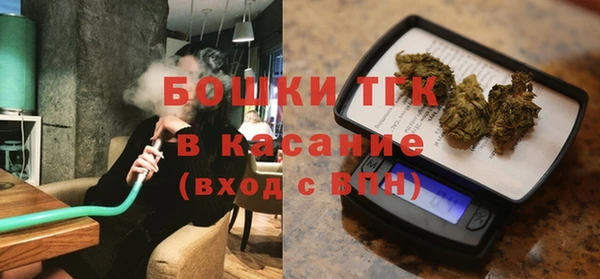 Альфа ПВП Инсар
