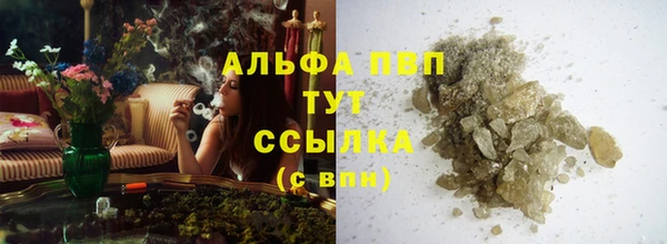 ECSTASY Инта