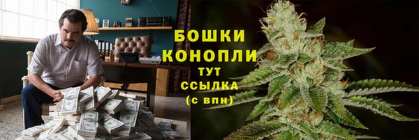стаф Зеленодольск